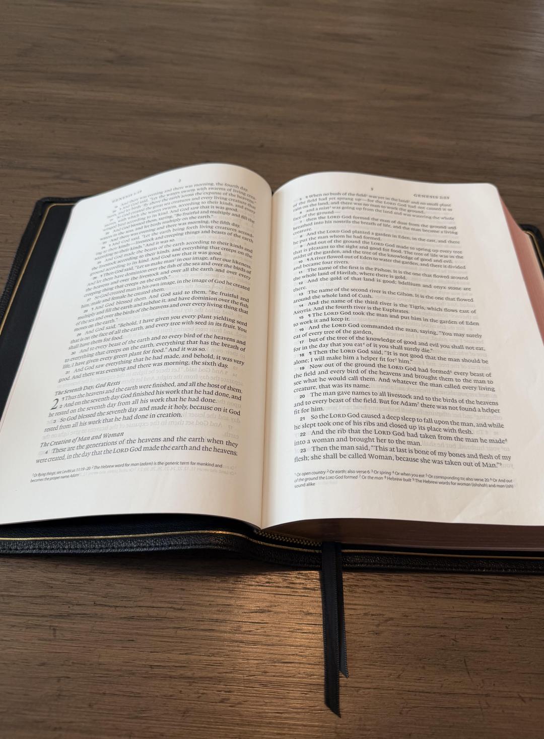 Open Bible open to a passage in Genesis